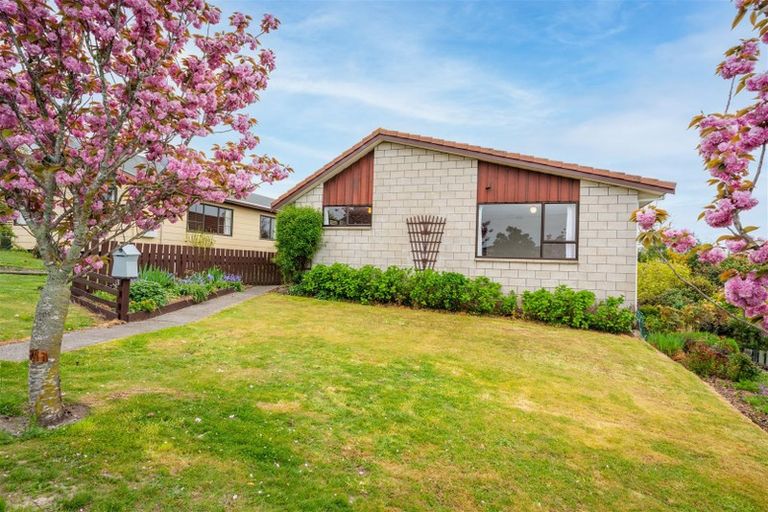 Photo of property in 18 Darby Street, Geraldine, 7930