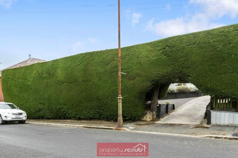 Photo of property in 36 Carnarvon Street, Belleknowes, Dunedin, 9011