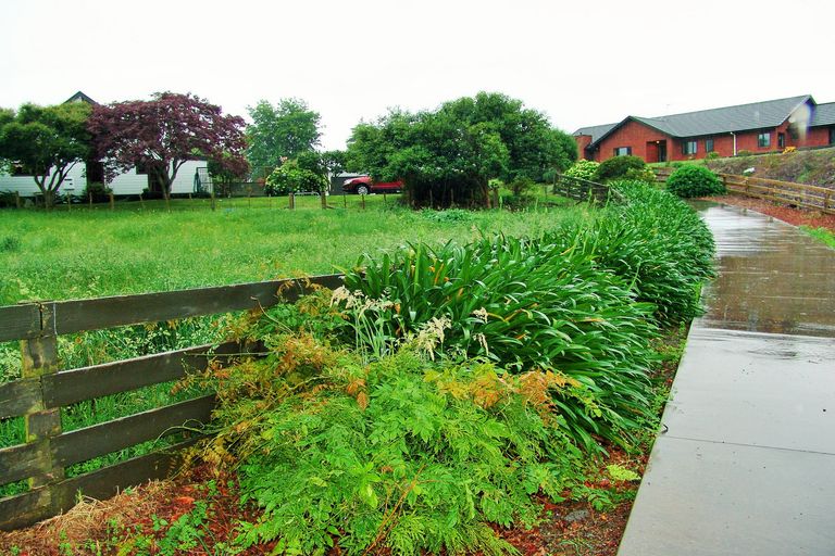 Photo of property in 93 Penny Road, Pirongia, Te Awamutu, 3876