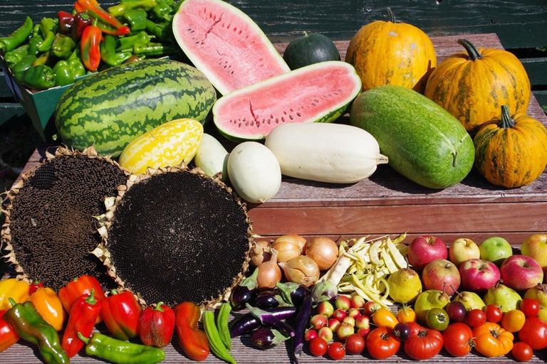 Photo of property in 527 Bush Road, Turua, Ngatea, 3597