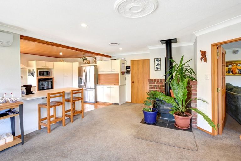 Photo of property in 41 Lynas Street, Outram, 9019