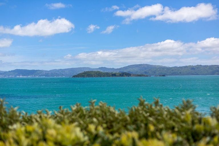 Photo of property in 316 Marine Dr York Bay, York Bay, Lower Hutt, 5013