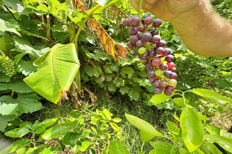 Photo of property in 71a Hukatere Road, Pukenui, Kaitaia, 0484