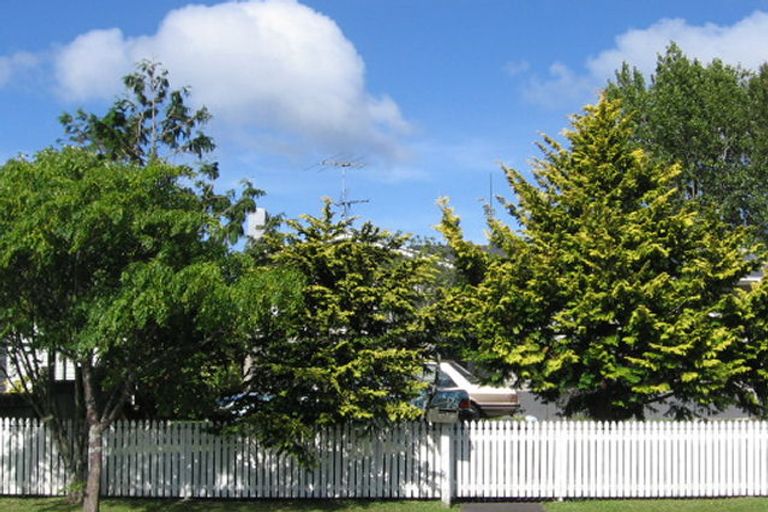 Photo of property in 39 Universal Drive, Henderson, Auckland, 0610