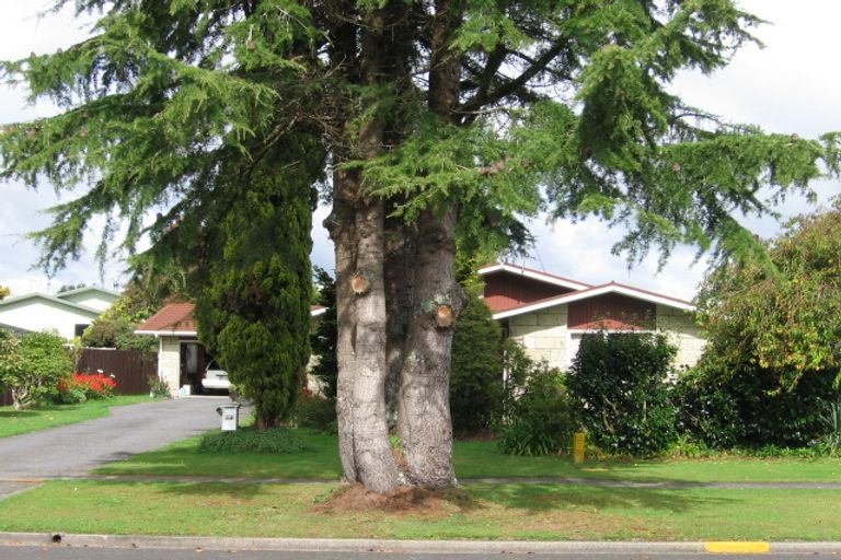 Photo of property in 237 West Parkdale Street, Tokoroa, 3420