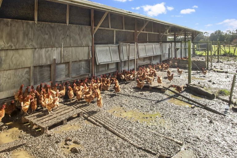 Photo of property in 80 Sutton Road, Drury, 2113