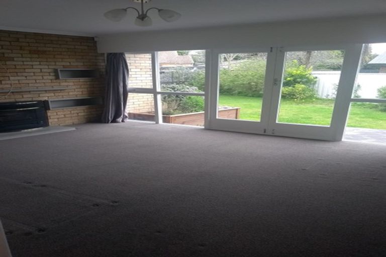 Photo of property in 13 Hobson Street, Maeroa, Hamilton, 3200