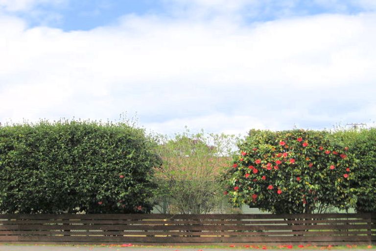 Photo of property in 189 Rifle Range Road, Taupo, 3330