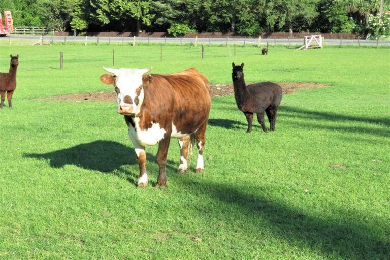 Photo of property in 268 Oamaru-alma Road, Alma, Oamaru, 9491