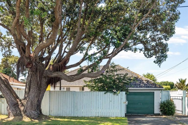 Photo of property in 41 Thornycroft Avenue, Epuni, Lower Hutt, 5011