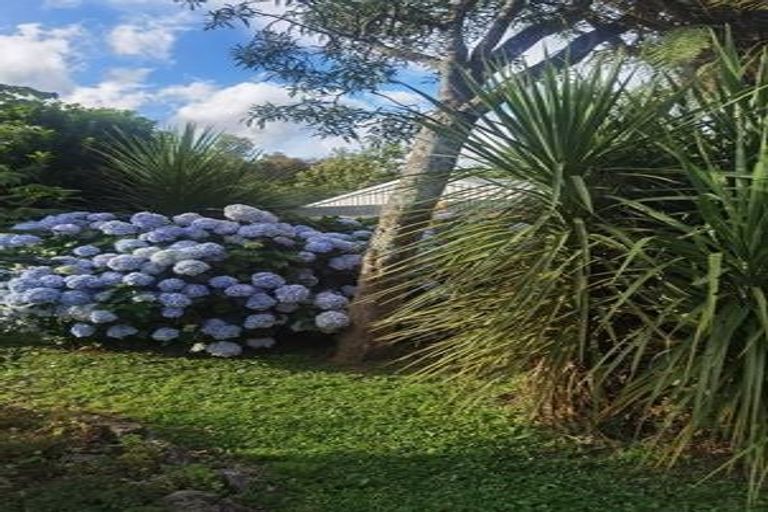 Photo of property in 3 Hengist Street, Norsewood, 4974