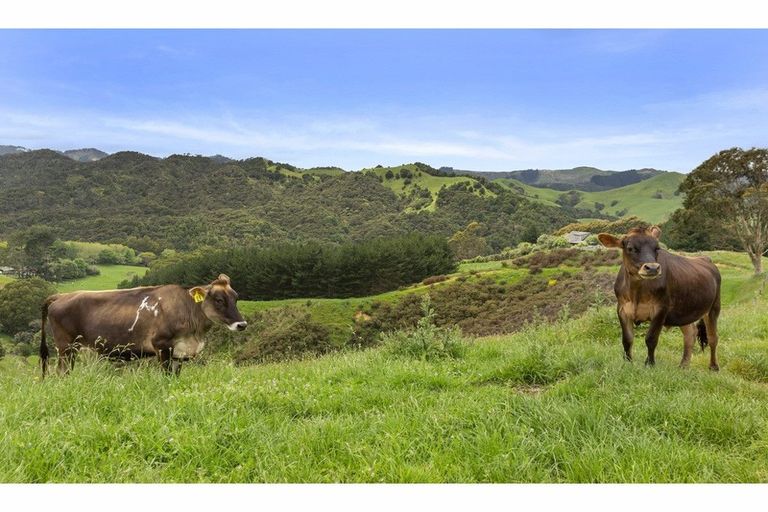 Photo of property in 69c Otonga Valley Road, Raglan, 3295