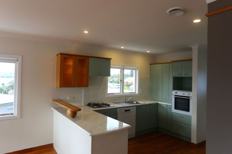 Photo of property in 58 Harvey Street, Waipahihi, Taupo, 3330