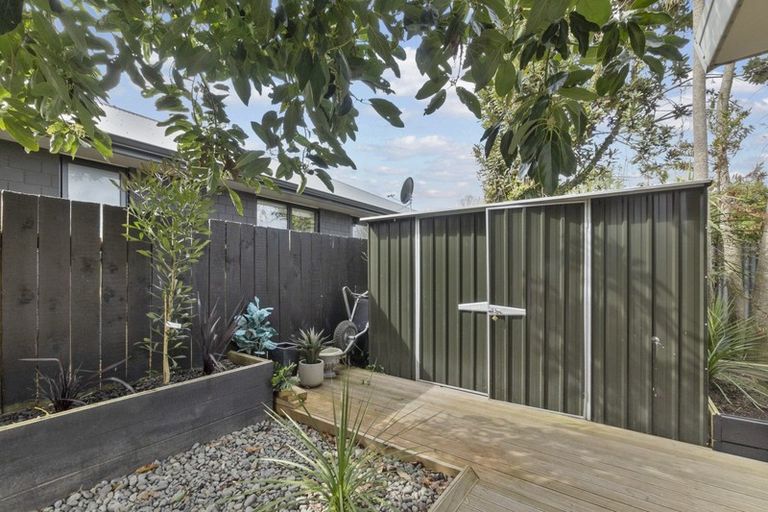 Photo of property in 91c Galloway Street, Hamilton East, Hamilton, 3216