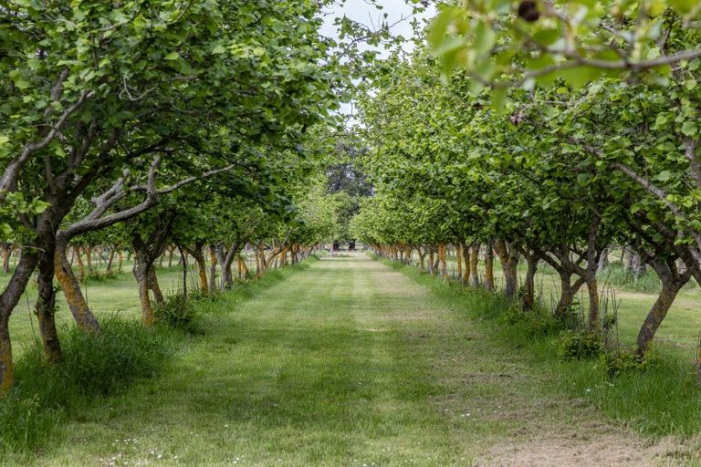 Photo of property in 190 Amberley Beach Road, Amberley, 7481