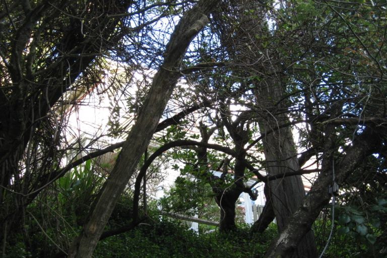 Photo of property in 185 Glenmore Street, Kelburn, Wellington, 6012