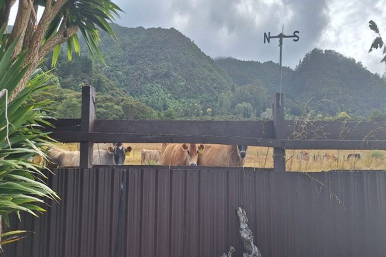 Photo of property in 31 Gilchrist Street, Te Aroha, 3320