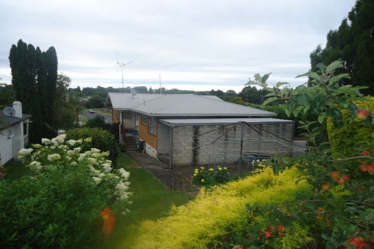 Photo of property in 111 Arapuni Street, Putaruru, 3411