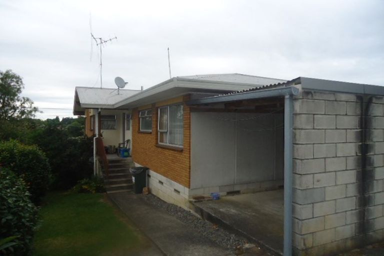 Photo of property in 111 Arapuni Street, Putaruru, 3411