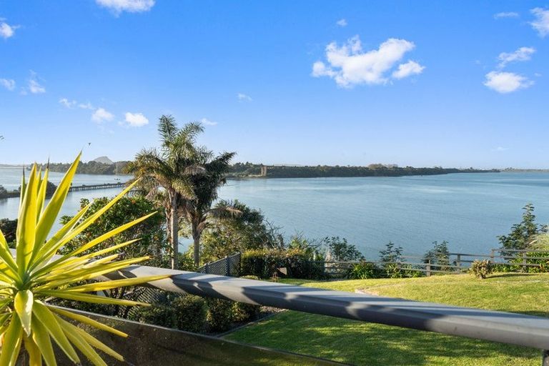Photo of property in 91 Te Hono Street, Maungatapu, Tauranga, 3112
