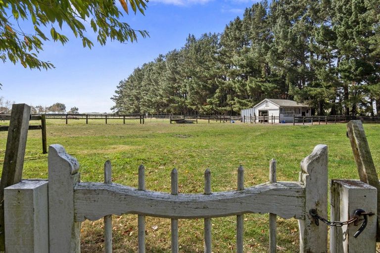Photo of property in 273 Parewanui Road, Bulls, 4894