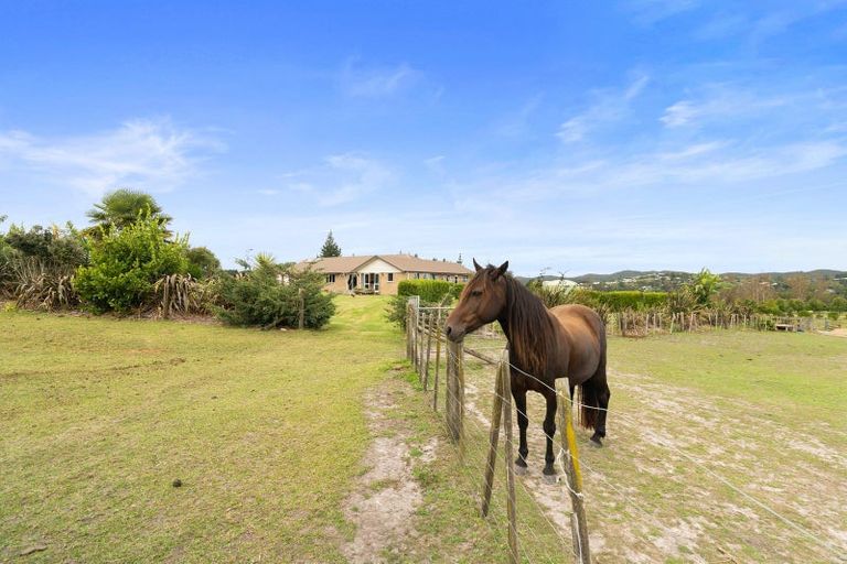 Photo of property in 121 Haruru Falls Road, Haruru, 0204