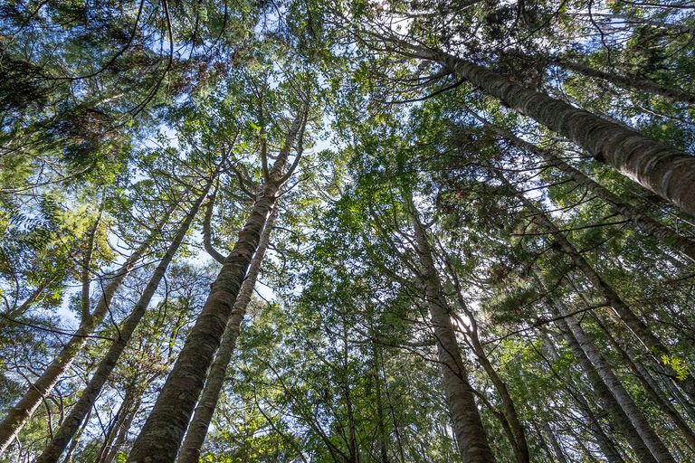 Photo of property in 71 Schollum Road, Big Omaha, Warkworth, 0985