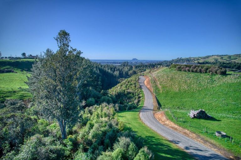 Photo of property in 299c Whakamarama Road, Whakamarama, 3179