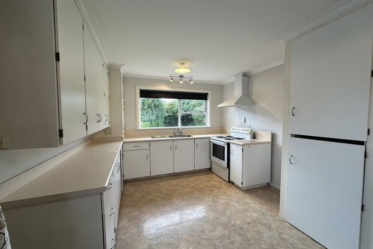 Photo of property in 160 Weraroa Road, Levin, 5510