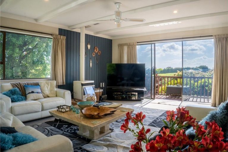 Photo of property in 313 Youngson Road, Whakamarama, Tauranga, 3179