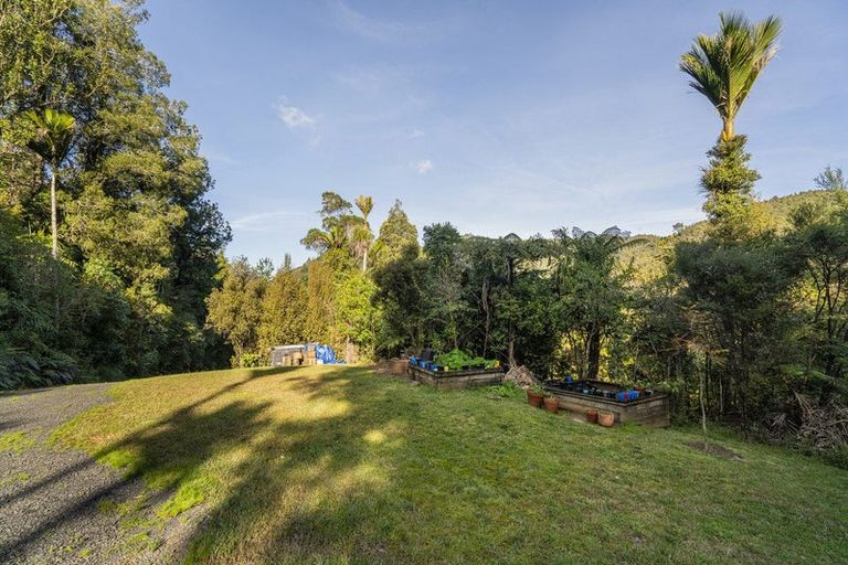 Photo of property in 1621 The 309 Road, Kaimarama, Whitianga, 3591