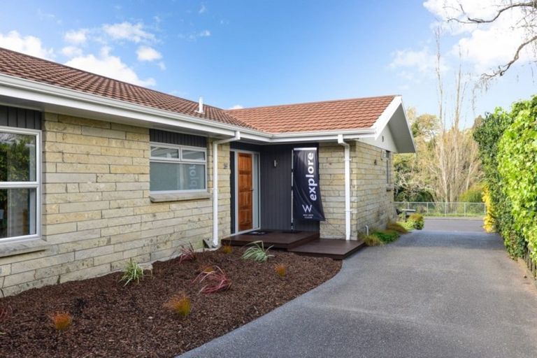 Photo of property in 19 Hamilton Parade, Hamilton Central, Hamilton, 3204