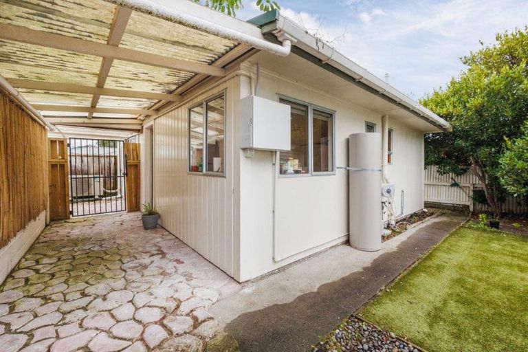 Photo of property in 5 Dundas Place, Awapuni, Palmerston North, 4412