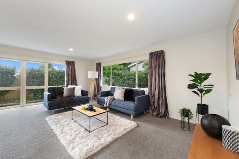 Photo of property in 8a Hobson Street, Maeroa, Hamilton, 3200