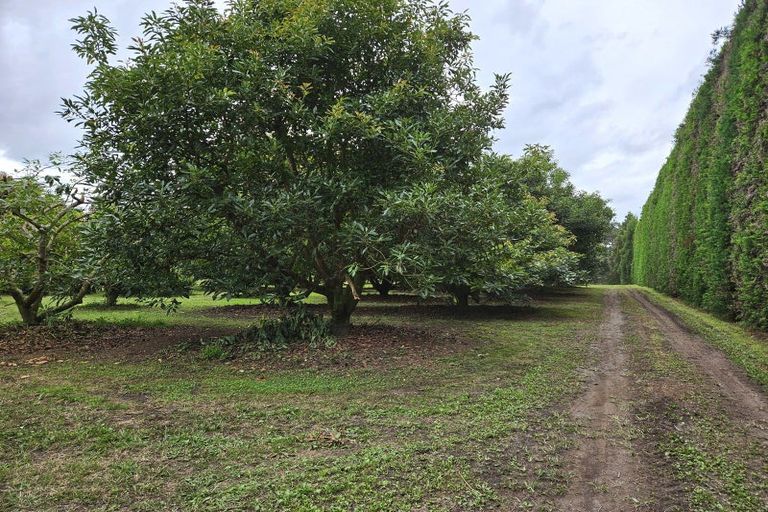 Photo of property in 400 Te Matai Road, Te Puke, 3188