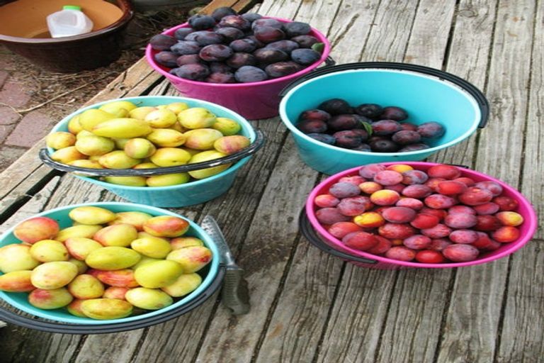 Photo of property in 50 Matahui Road, Aongatete, Katikati, 3181