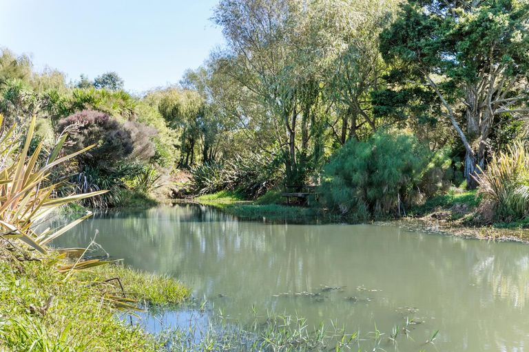 Photo of property in 113 Quinn Road, Mauku, Pukekohe, 2678