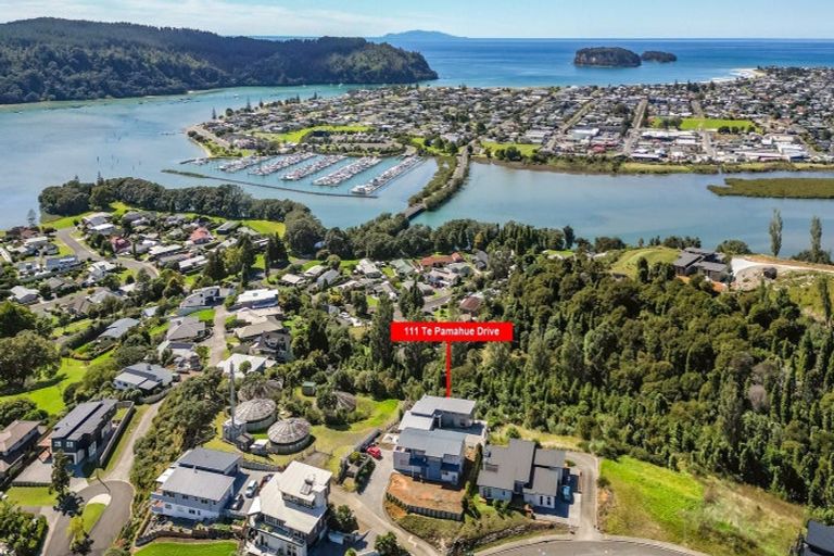 Photo of property in 111 Te Pamahue Drive, Whangamata, 3620