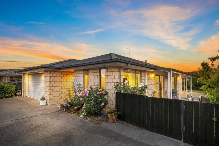 Photo of property in 42 Tremorne Avenue, Blenheim, 7201