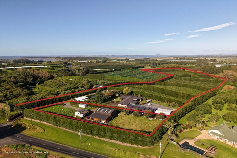 Photo of property in 78a Walker Road East, Aongatete, 3178