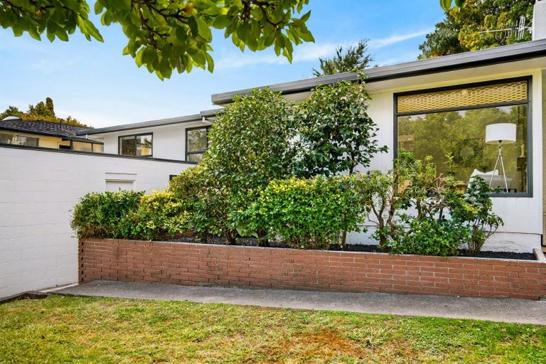 Photo of property in 41 Muritai Crescent, Havelock North, 4130