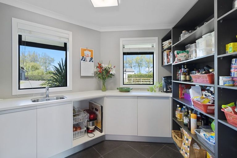 Photo of property in 8 Brighton Grove, Newstead, Hamilton, 3286