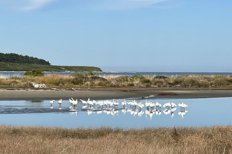 Photo of property in 2 Dawick Street, Foxton Beach, Foxton, 4815