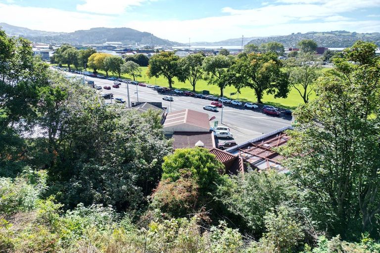 Photo of property in 20 Maitland Street, Dunedin Central, Dunedin, 9016