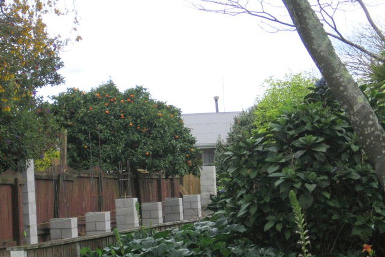 Photo of property in 8 Wiremu Street, Brookfield, Tauranga, 3110