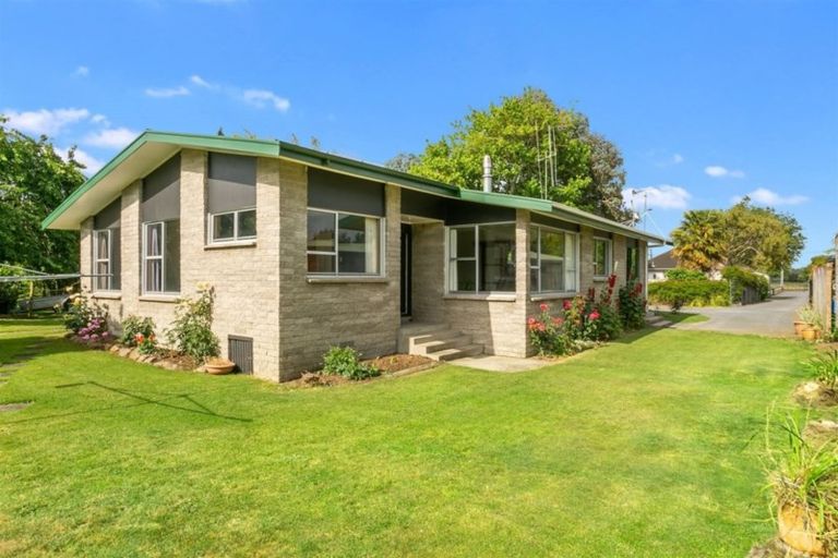 Photo of property in 67a Vogel Street, Cambridge, 3434