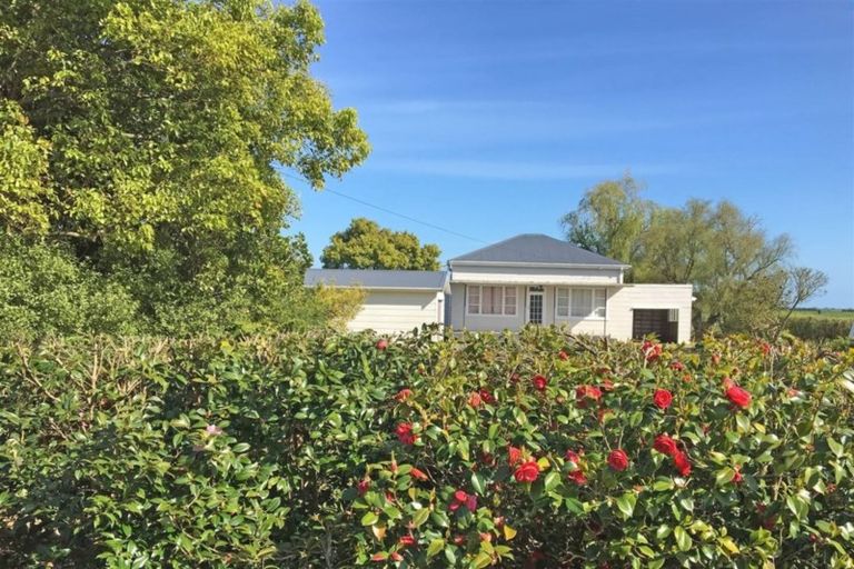 Photo of property in 382 Matatoki Road, Matatoki, Thames, 3578