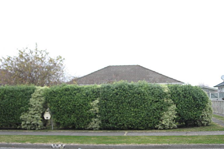Photo of property in 38 Massey Crescent, Marewa, Napier, 4110