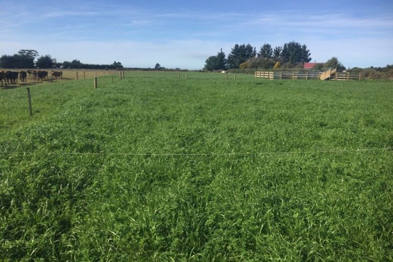 Photo of property in 27 Laings Road, Tinwald, Ashburton, 7775