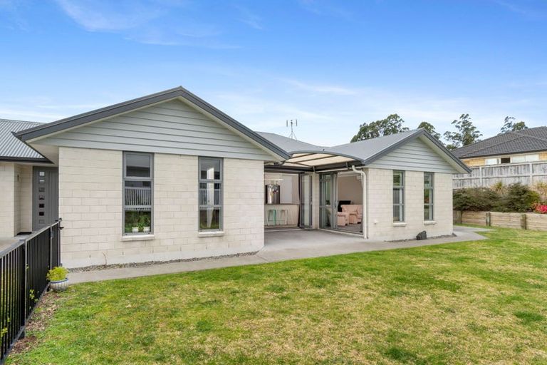 Photo of property in 161 Rowesdale Drive, Ohauiti, Tauranga, 3112